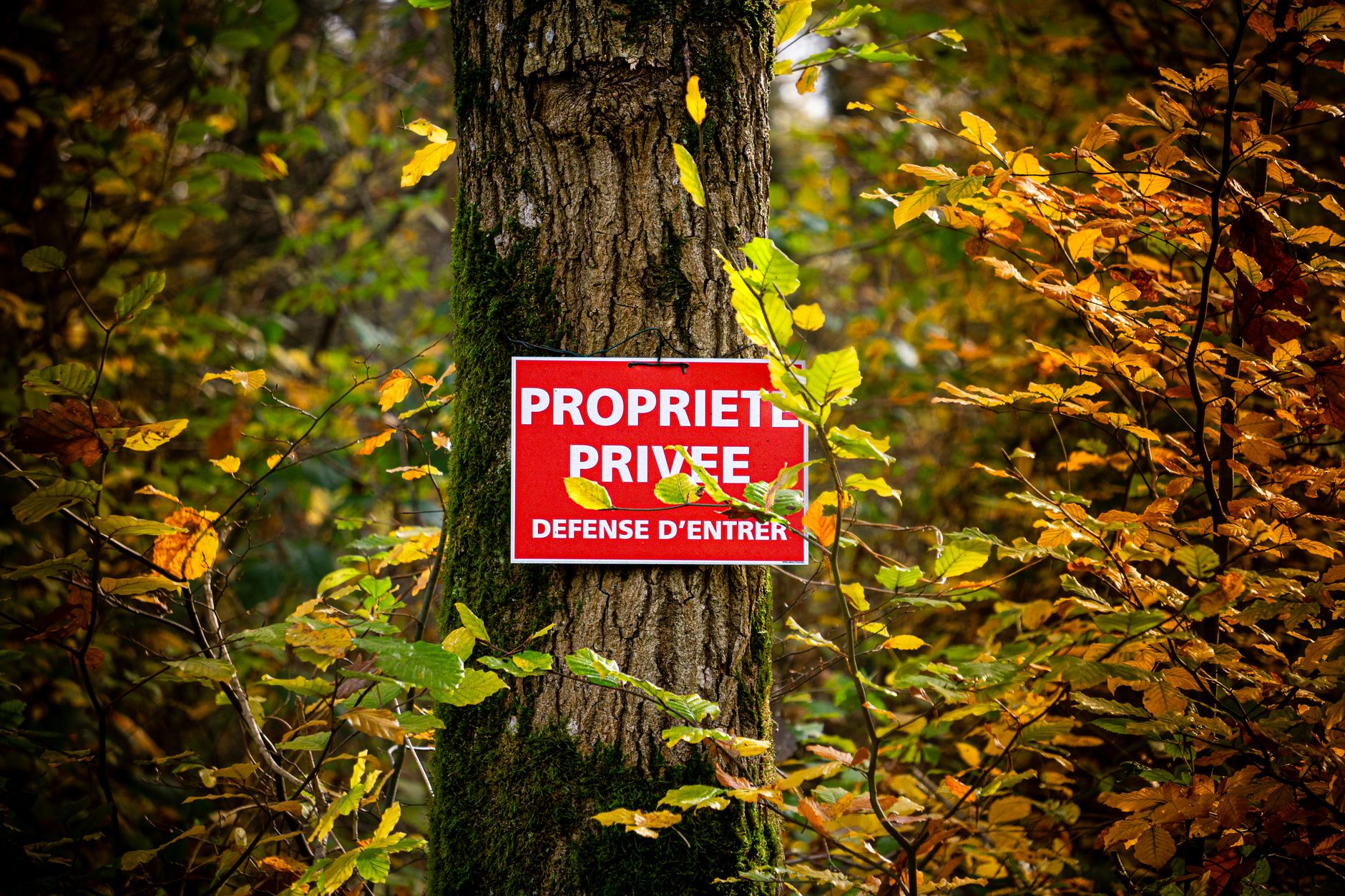 Détective privé à Poitiers